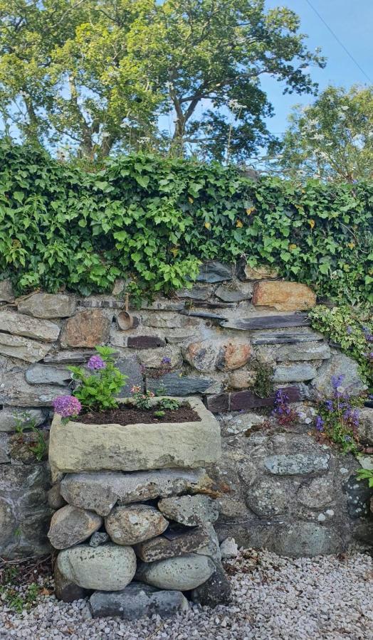 Green Cottage - Snowdonia Llanllechid Exterior foto